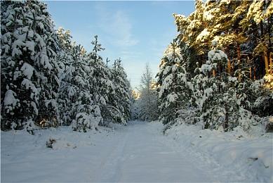 把魂吓飞！《生化危机9》导演称新作恐怖感全面升级