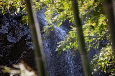 《胜利女神》新角色蕾欧娜公开  童颜巨乳很可爱