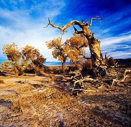 《漫威vs.卡普空格斗合集:经典街机》9月12日发售
